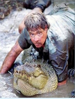 Steve Irwin