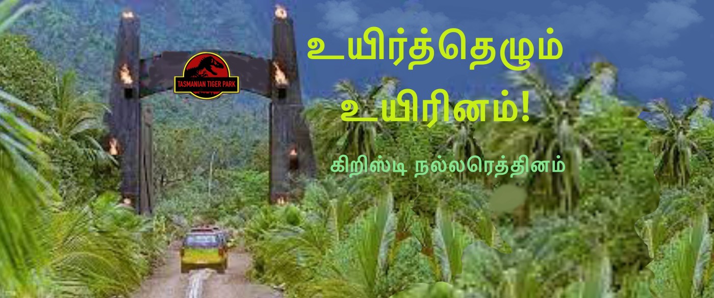 Tasmanian Tiger in Colour